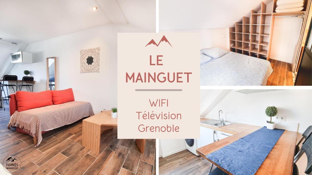 Le Mainguet - Appartement cosy - Grenoble Esterno foto